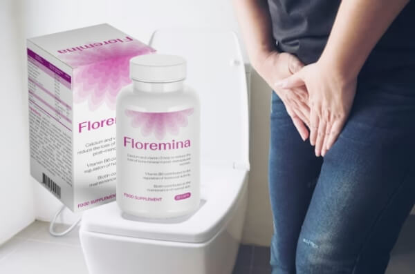 Състав и Действие