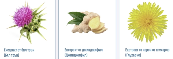 Heparix: състав и съставки