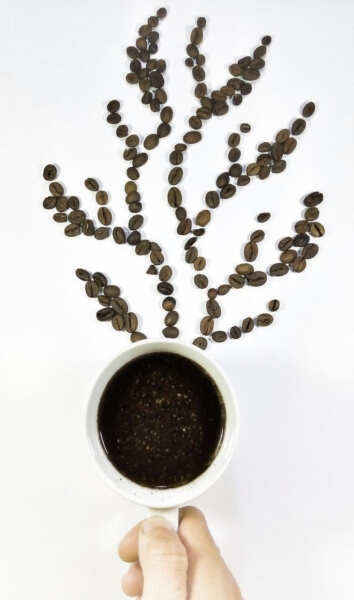 Кои Са Потенциалните Вреди от Кофеина Кои Са Потенциалните Вреди от Кофеина