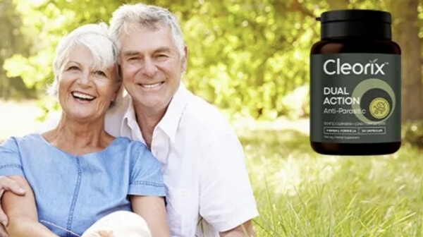 Състав и съставки